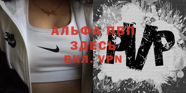хмурый Горно-Алтайск