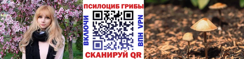 Галлюциногенные грибы прущие грибы Чегем