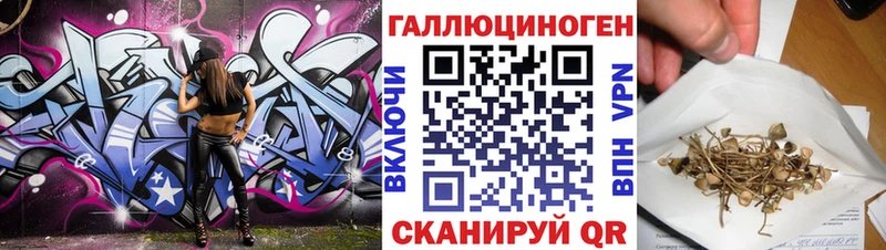 Псилоцибиновые грибы Magic Shrooms  дарнет шоп  Чегем 